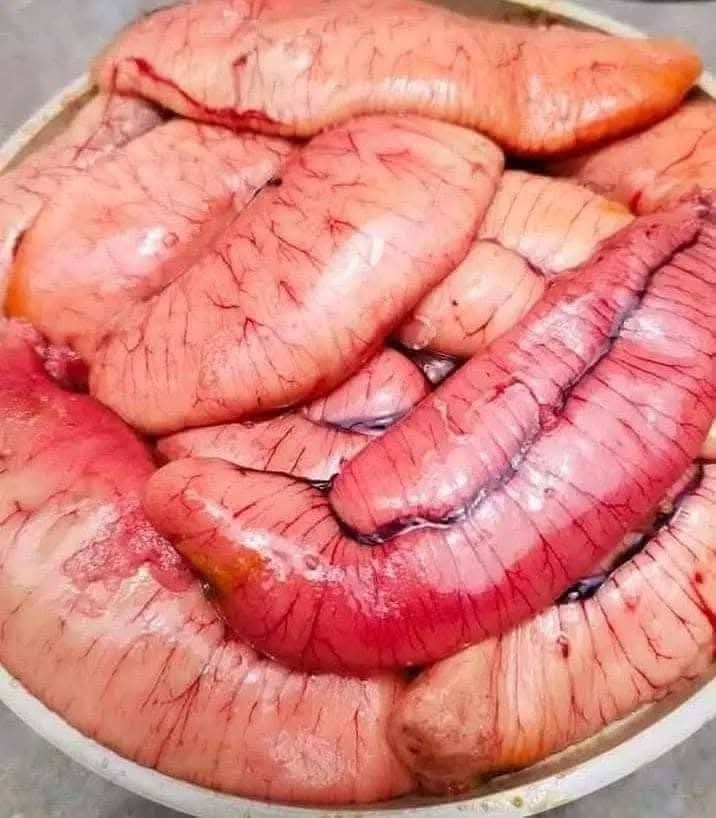 ডিম ৩ কেজি ২০০০ টাকা